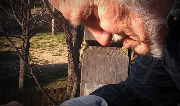 Mercury linked to Alzheimer's Disease