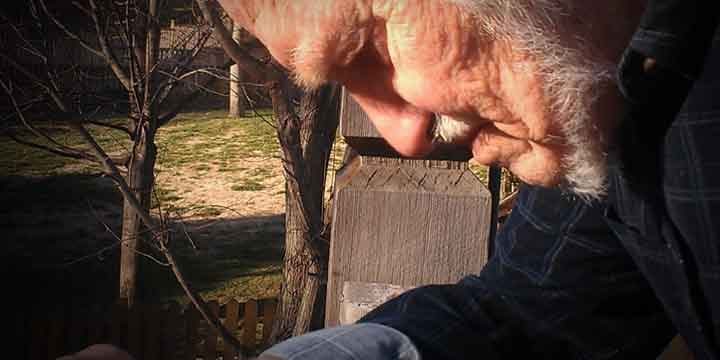 Mercury linked to Alzheimer's Disease