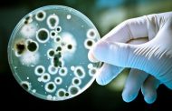 Amalgam fillings with mercury linked to antibiotic resistant bacteria