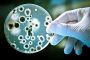 Amalgam fillings with mercury linked to antibiotic resistant bacteria