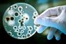 Amalgam fillings with mercury linked to antibiotic resistant bacteria
