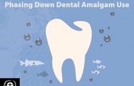 Lessons from Countries Phasing Down Dental Mercury Amalgam Filling Use