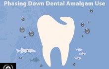 Lessons from Countries Phasing Down Dental Mercury Amalgam Filling Use