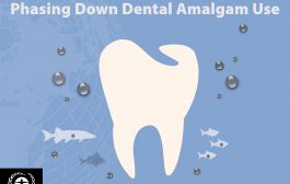 Lessons from Countries Phasing Down Dental Mercury Amalgam Filling Use