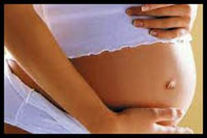 Mercury from Dental Amalgam Fillings due to Maternal Exposure to Electromagnetic Fields as a Possible Mechanism for Autism